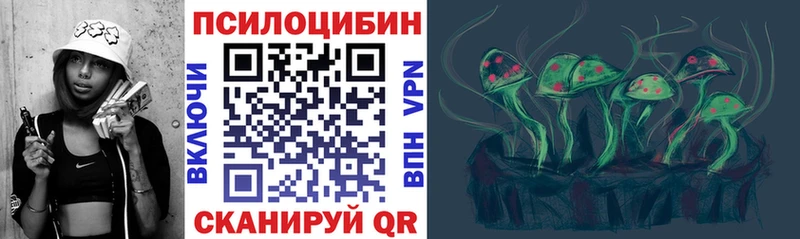 Псилоцибиновые грибы Psilocybe  дарк нет телеграм  Медногорск 